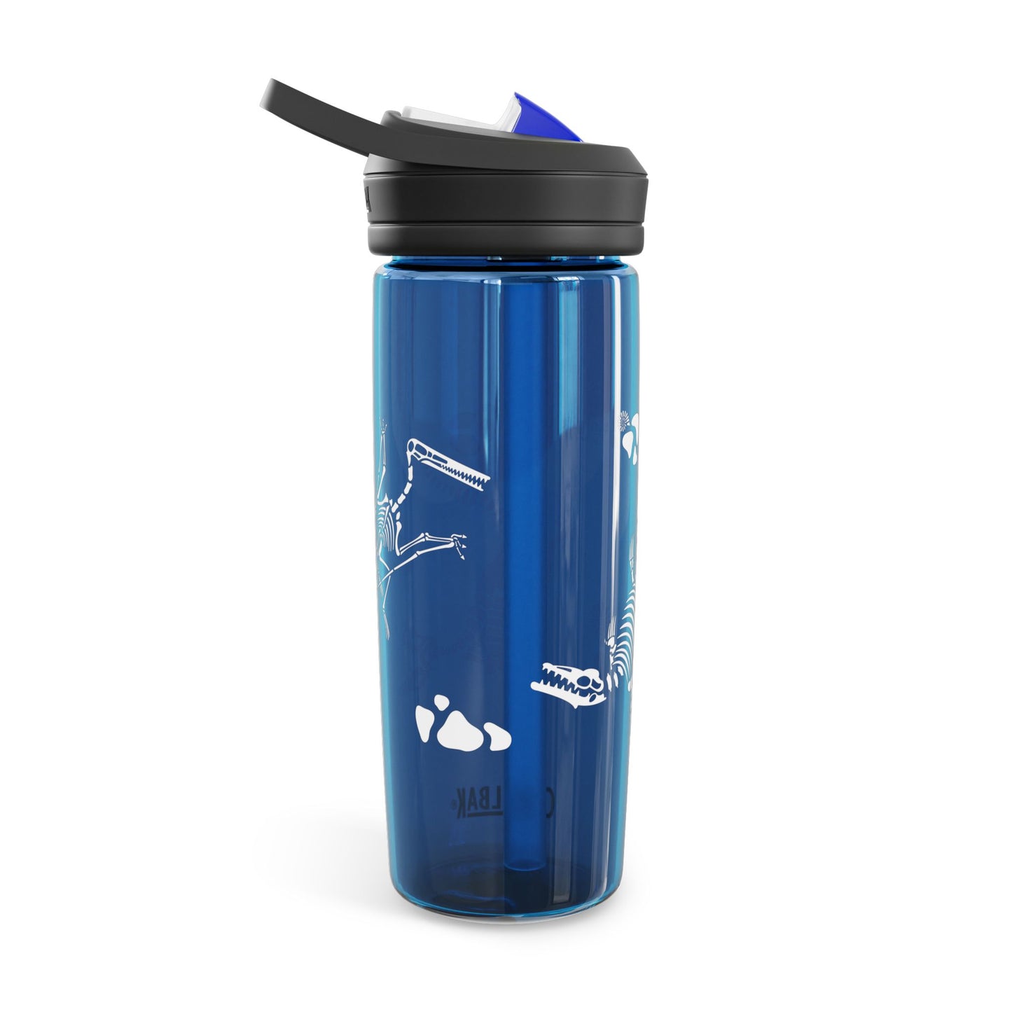 Dinosaur Fossils Water Bottle, 20oz\25oz, CamelBak Eddy® Water Bottle.
