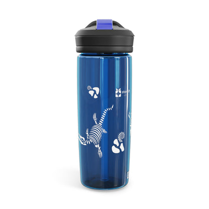 Dinosaur Fossils Water Bottle, 20oz\25oz, CamelBak Eddy® Water Bottle.