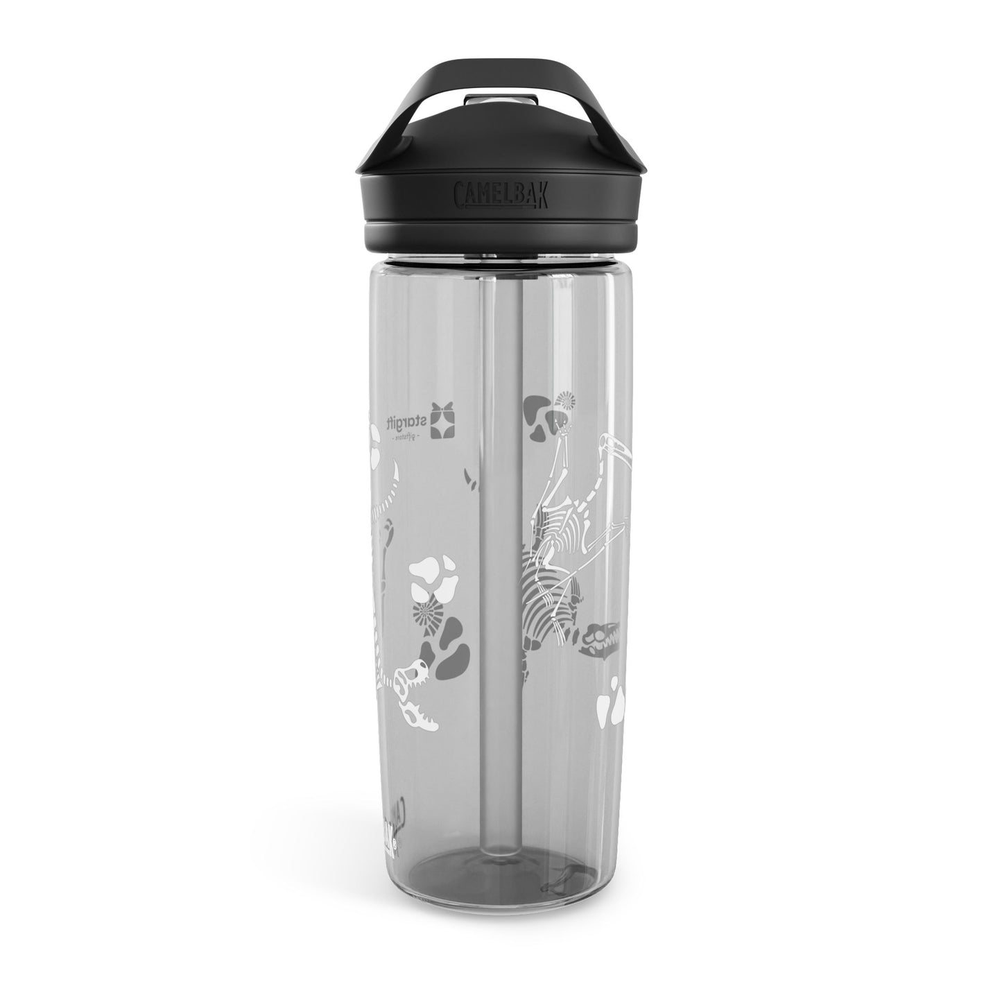 Dinosaur Fossils Water Bottle, 20oz\25oz, CamelBak Eddy® Water Bottle.